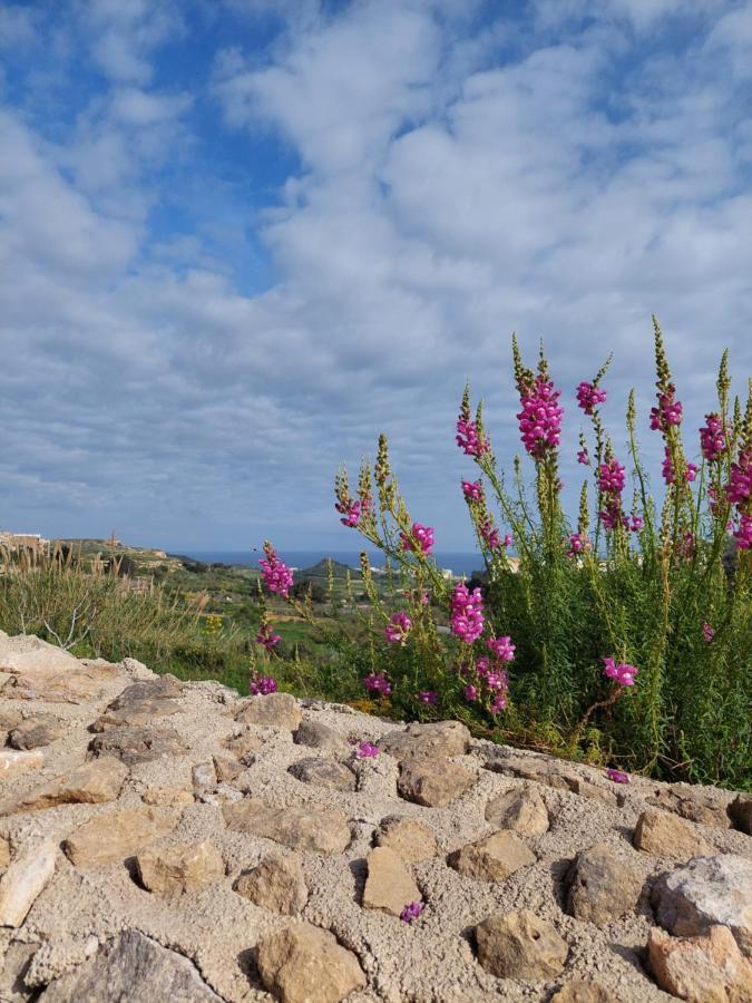 Mj Farmhouse B&B Xagħra エクステリア 写真